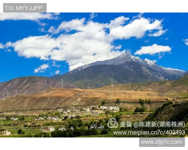 秘鲁足球队崛起之路探索与挑战的精彩旅程